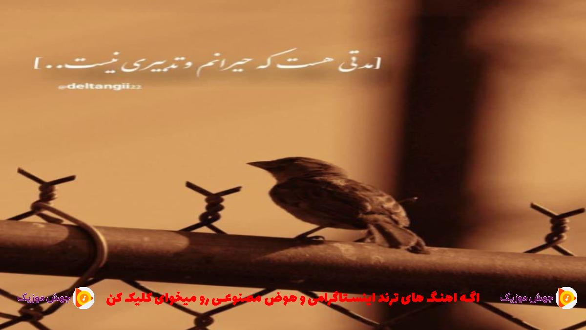 دانلود آهنگ تکون بده شاتر آقا آستیناتو بده بالا از 
